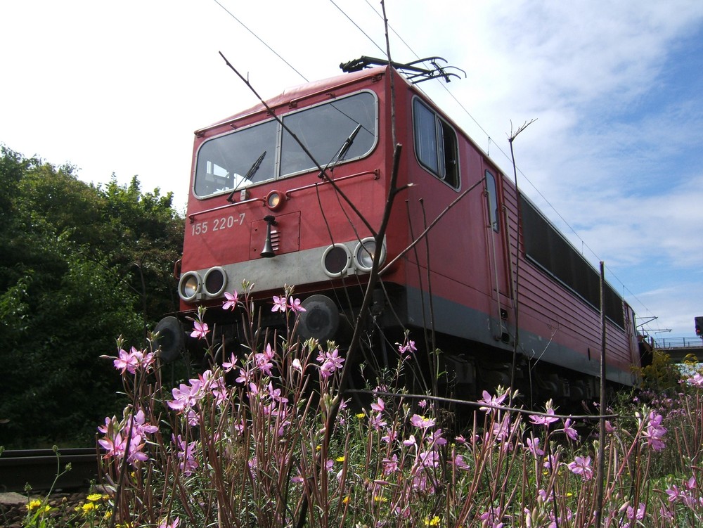 NSG + Bahn + Container...