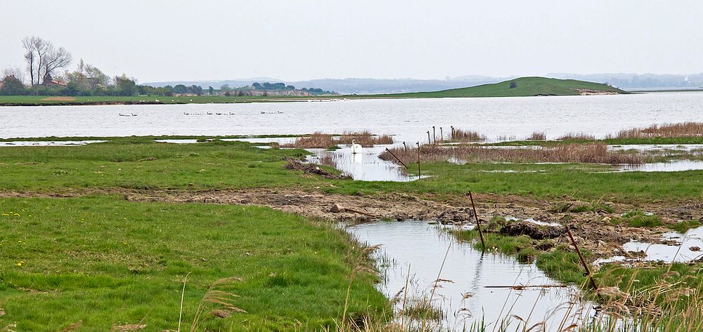 NSG Fauler See / Rustwerder