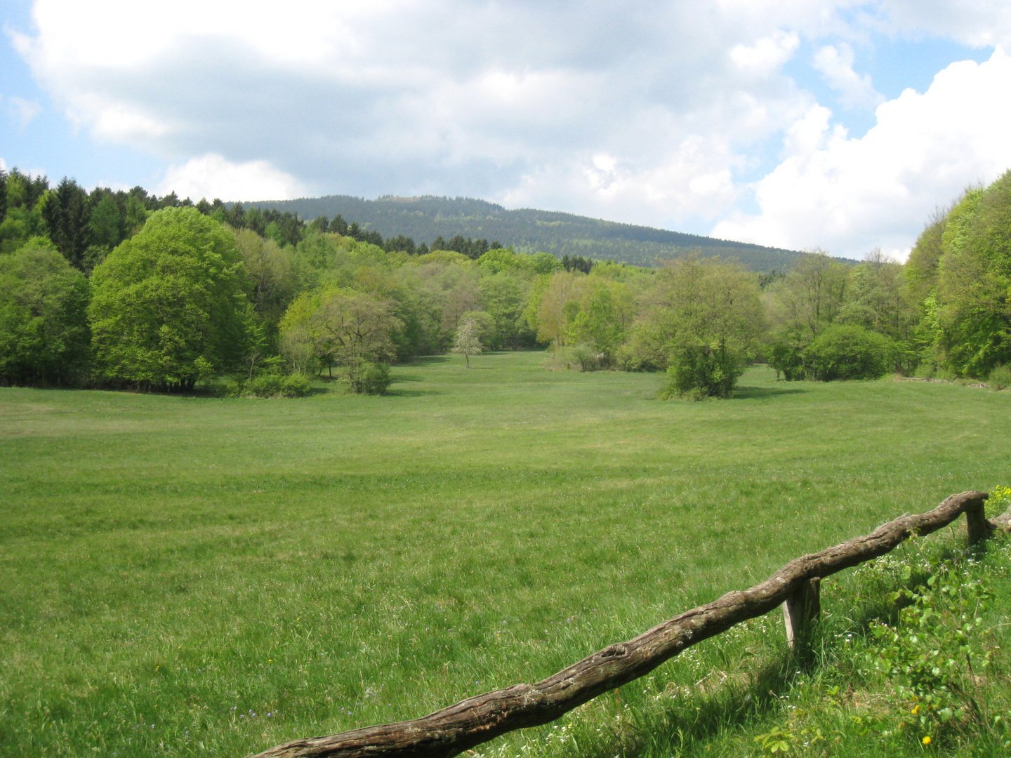 NSG Hühnerbergwiesen im April