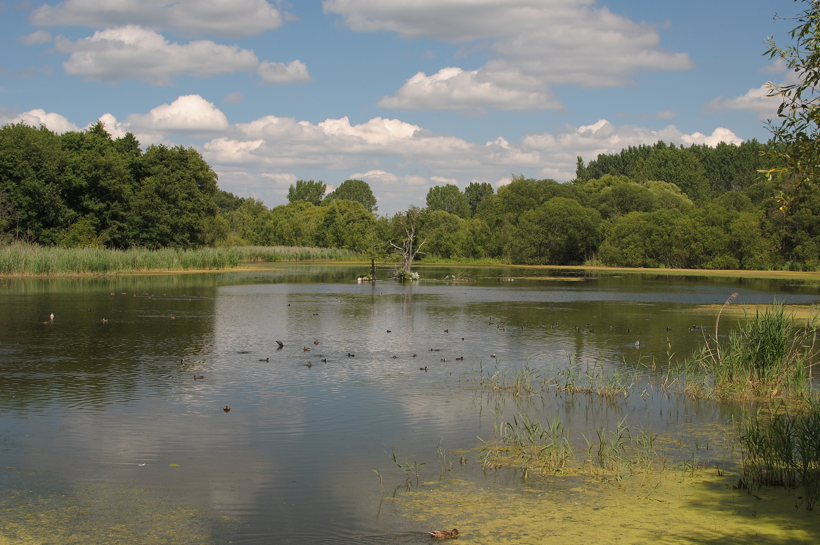 NSG Karower Teiche 2 Foto & Bild landschaft, bach, fluss & see, see