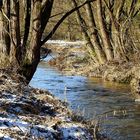 NSG Wetteratal noch winterlich