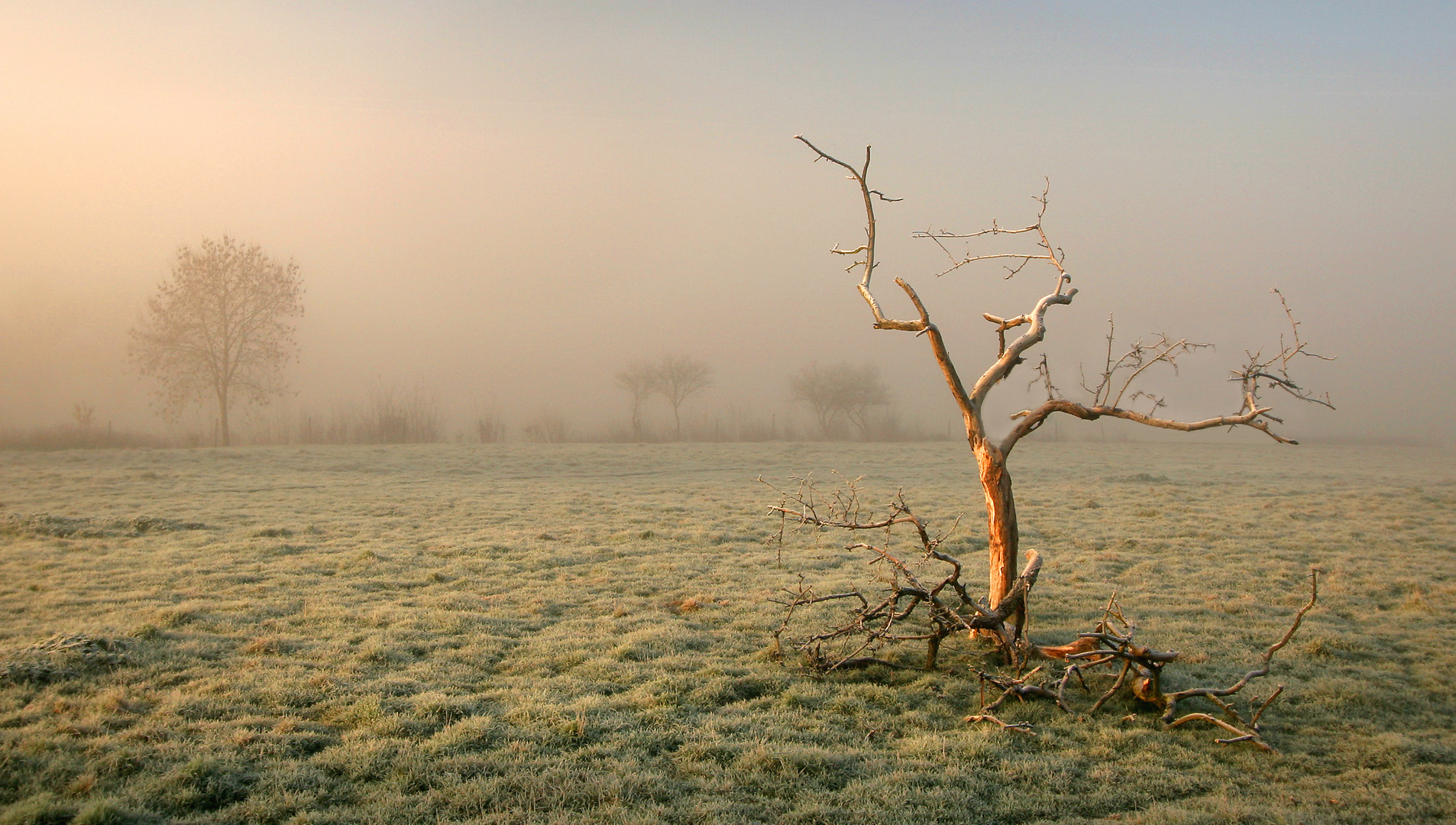 Nu dans le froid