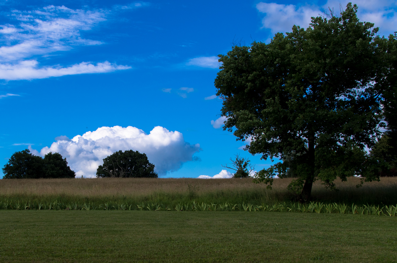 nuage moutonneux en campagne