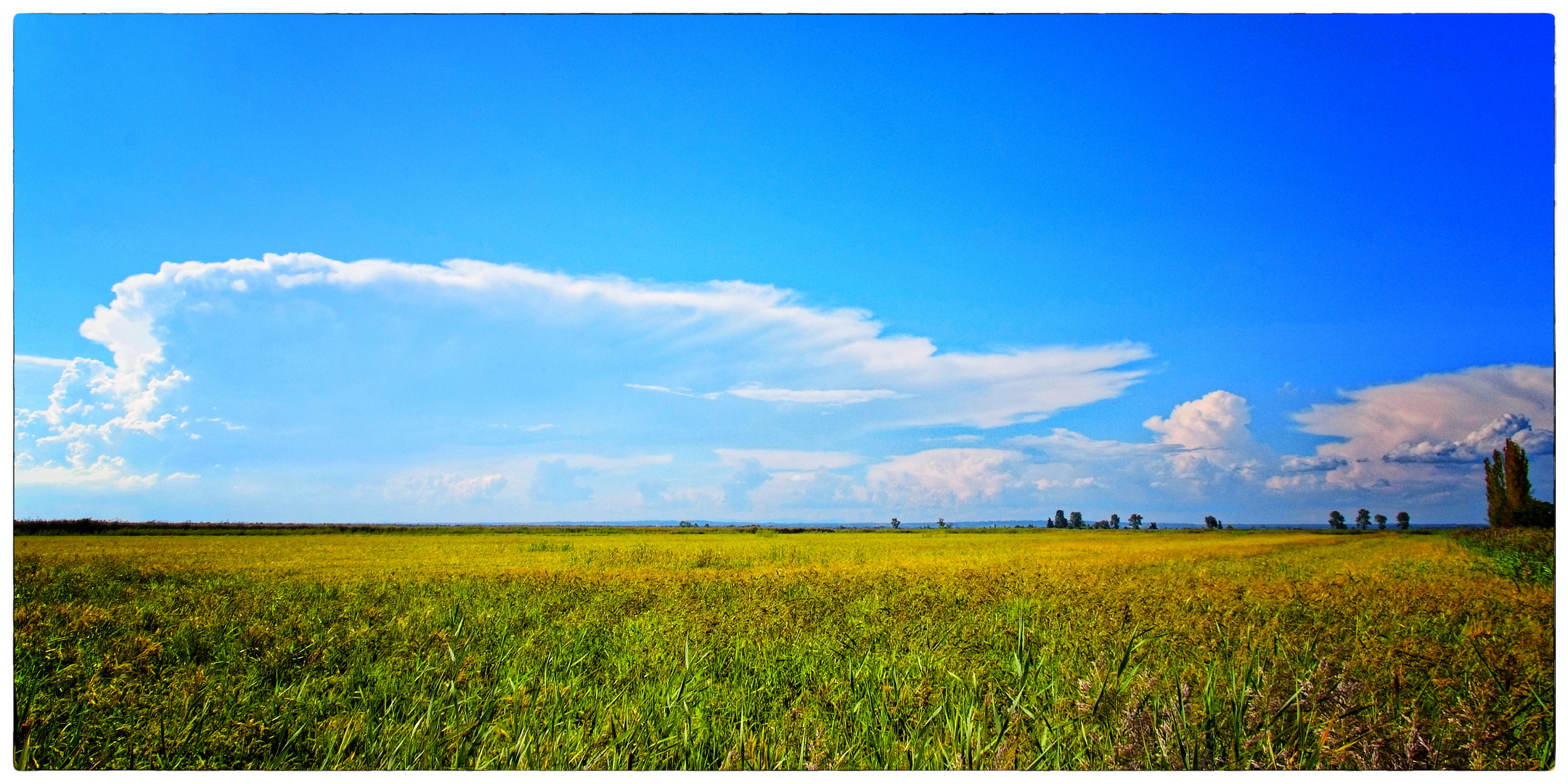 „ nuages camarguais “