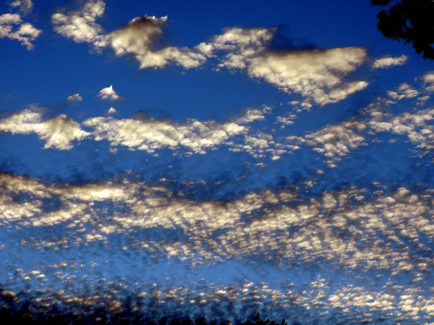 Nuages clairs.