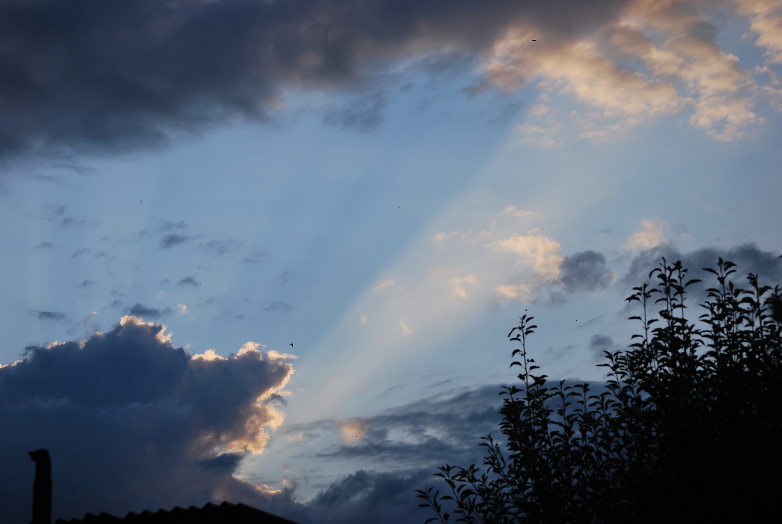 Nuages dans le ciel