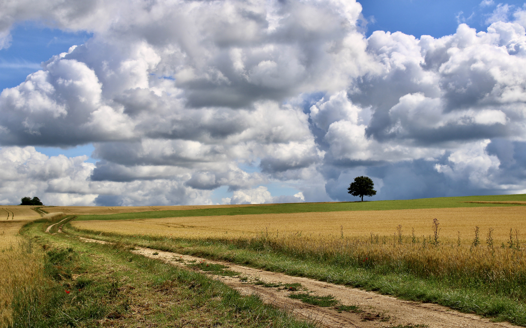 ... nuages - ou le chemin !!!..