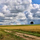 ... nuages - ou le chemin !!!..