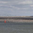 nuages sur la baie de la Somme