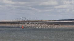 nuages sur la baie de la Somme