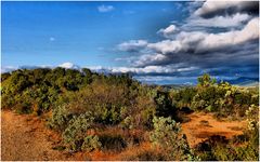 Nuages sur la garrigue