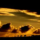 nuages tout simplement