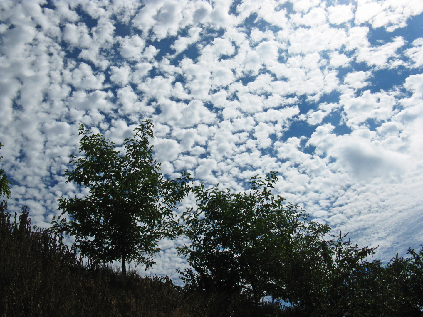 Nuages  -  Wolken