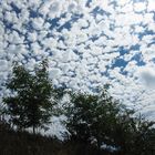 Nuages  -  Wolken