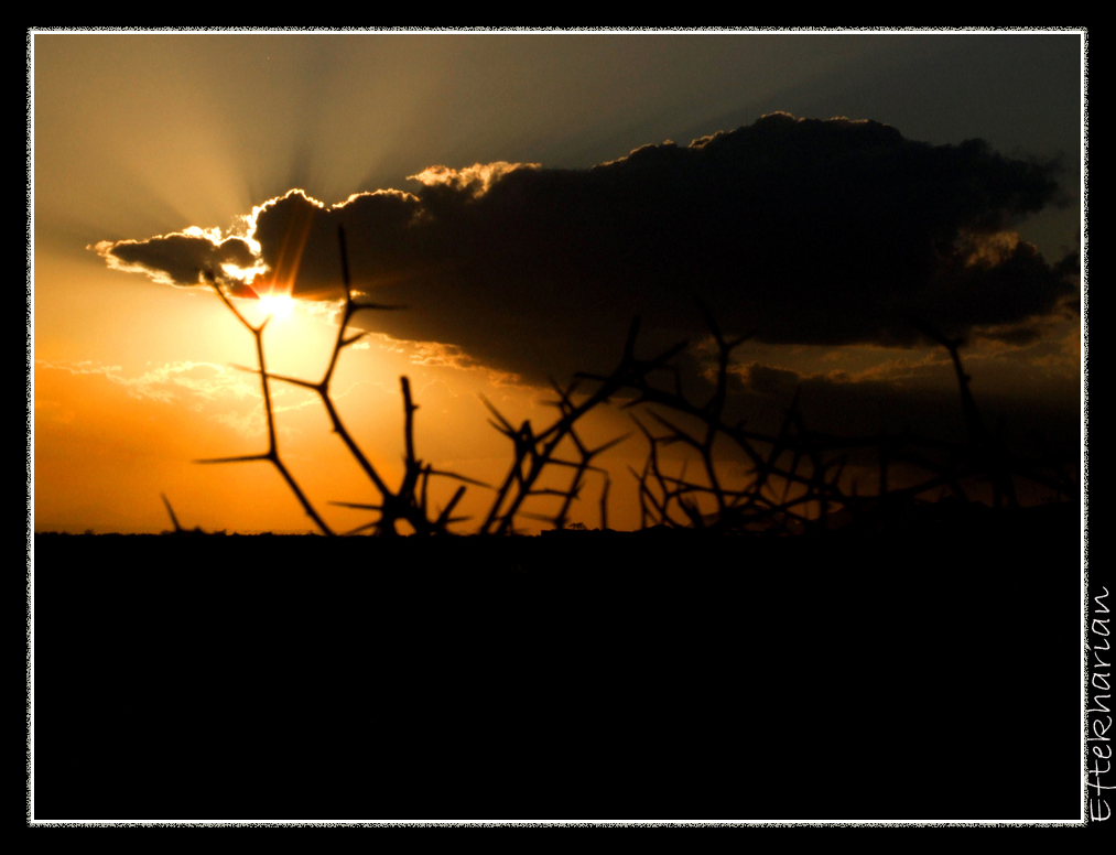 nuage,soleil & terre