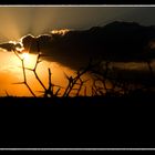 nuage,soleil & terre