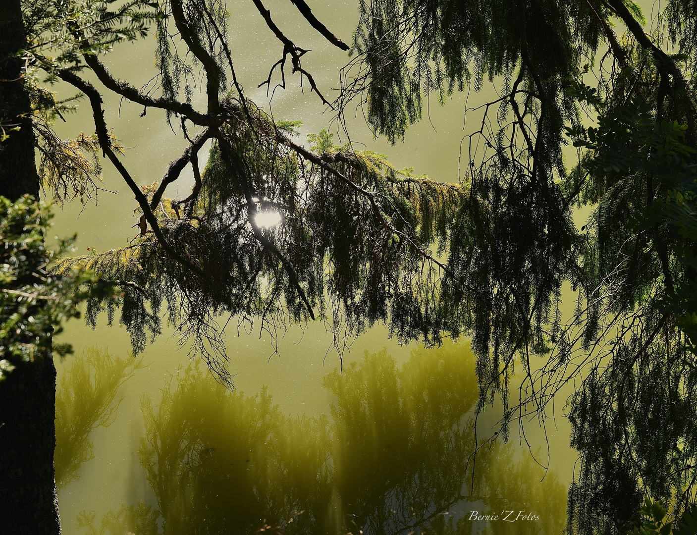 Nuances de vert