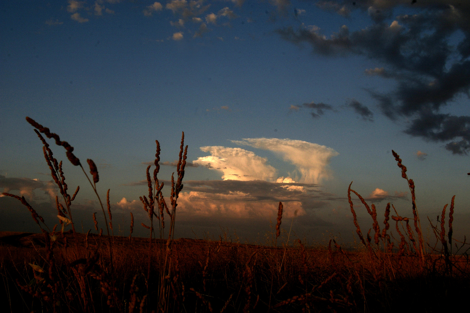 Nubes