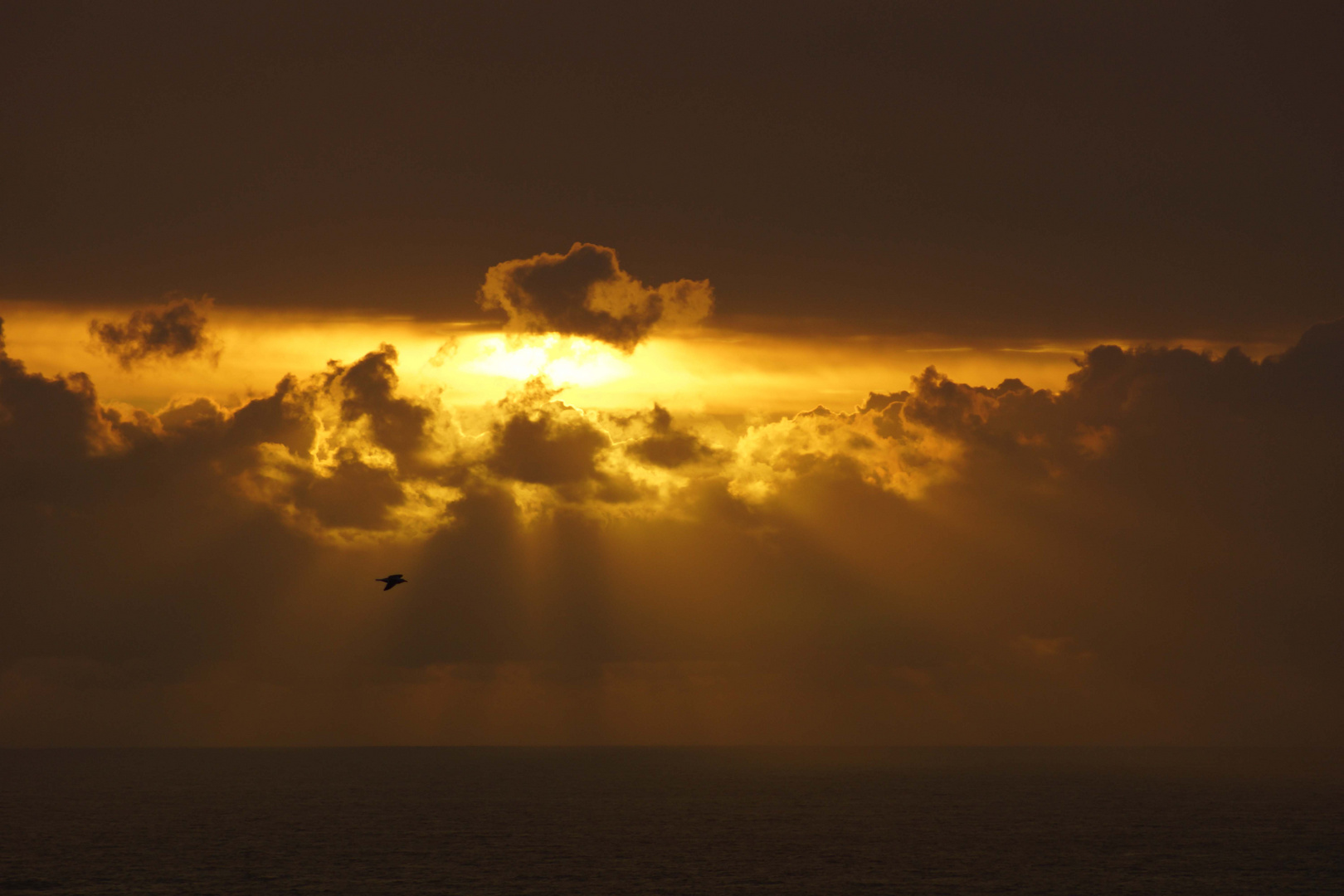 Nubes.