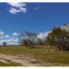 Nubes