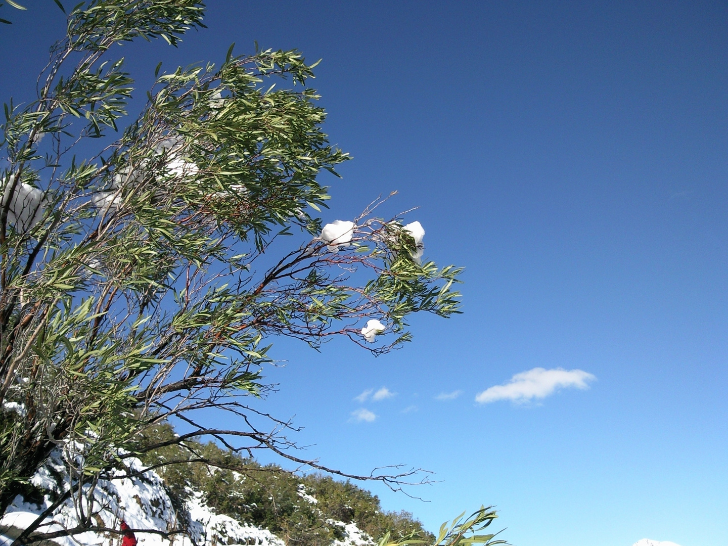 nubes atrapadas