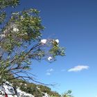 nubes atrapadas