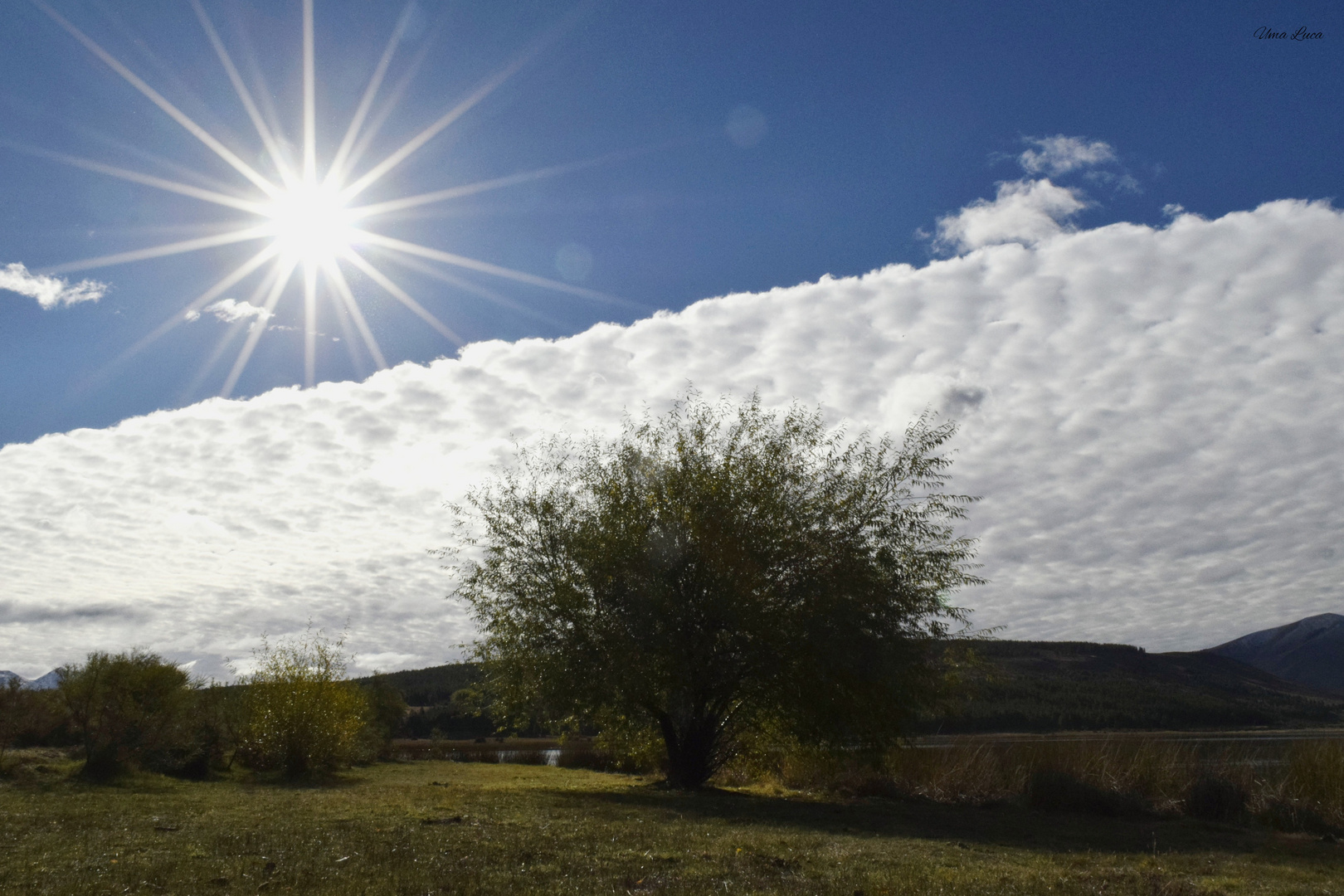 Nubes de algodón..