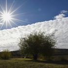 Nubes de algodón..