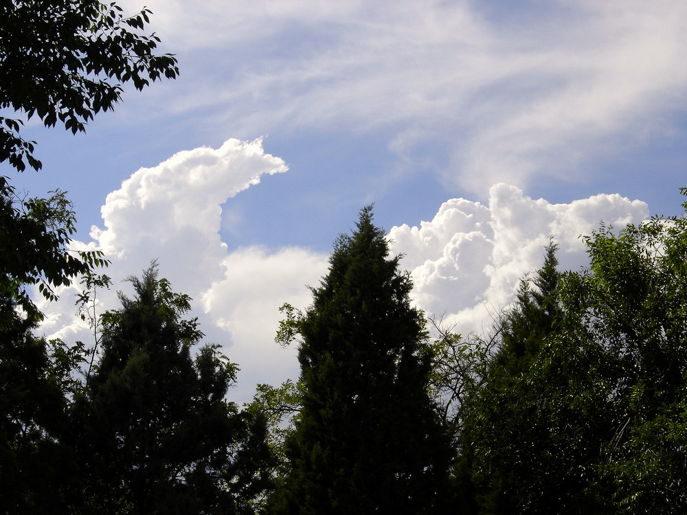 Nubes de algodón