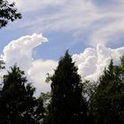 Nubes de algodón