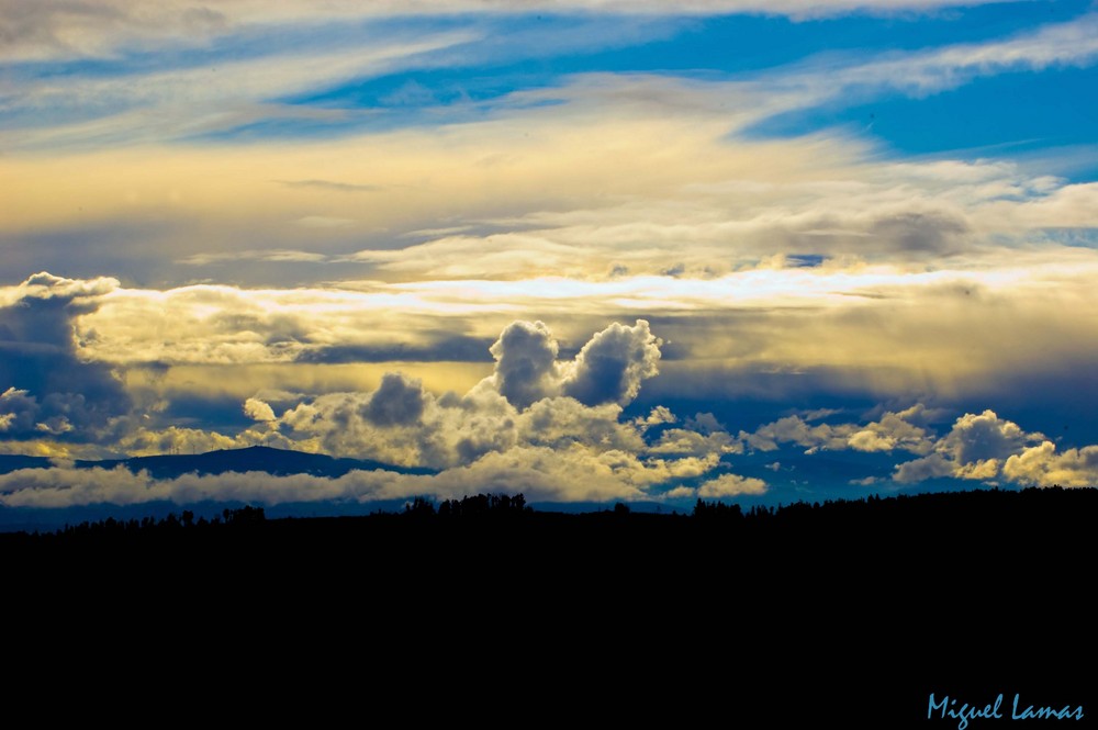 Nubes de algodón