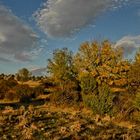 Nubes de otoño