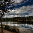 Nubes de primavera