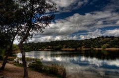 Nubes de primavera