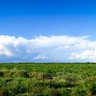 Nubes de San Luis II