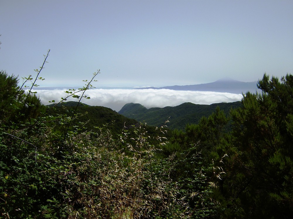 Nubes del Garajonay-GOMERA-