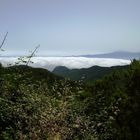 Nubes del Garajonay-GOMERA-