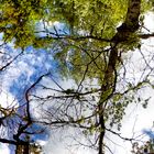 nubes en el estanque