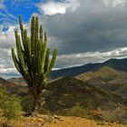 Nubes - montañas - rocas - cactus