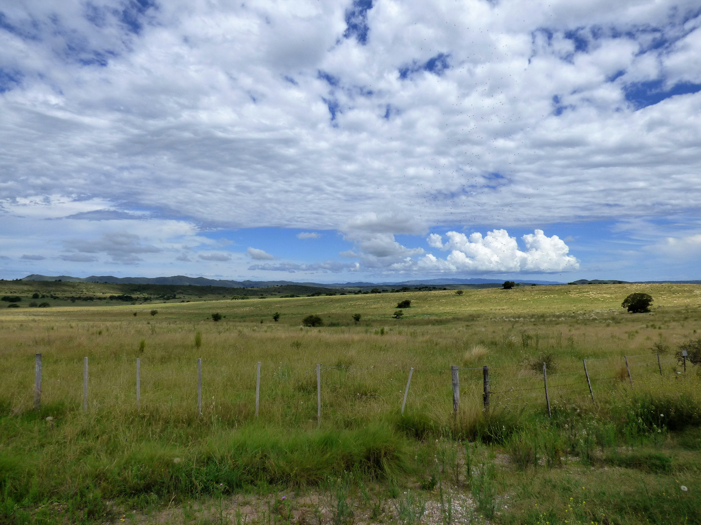 Nubes sobre el campo