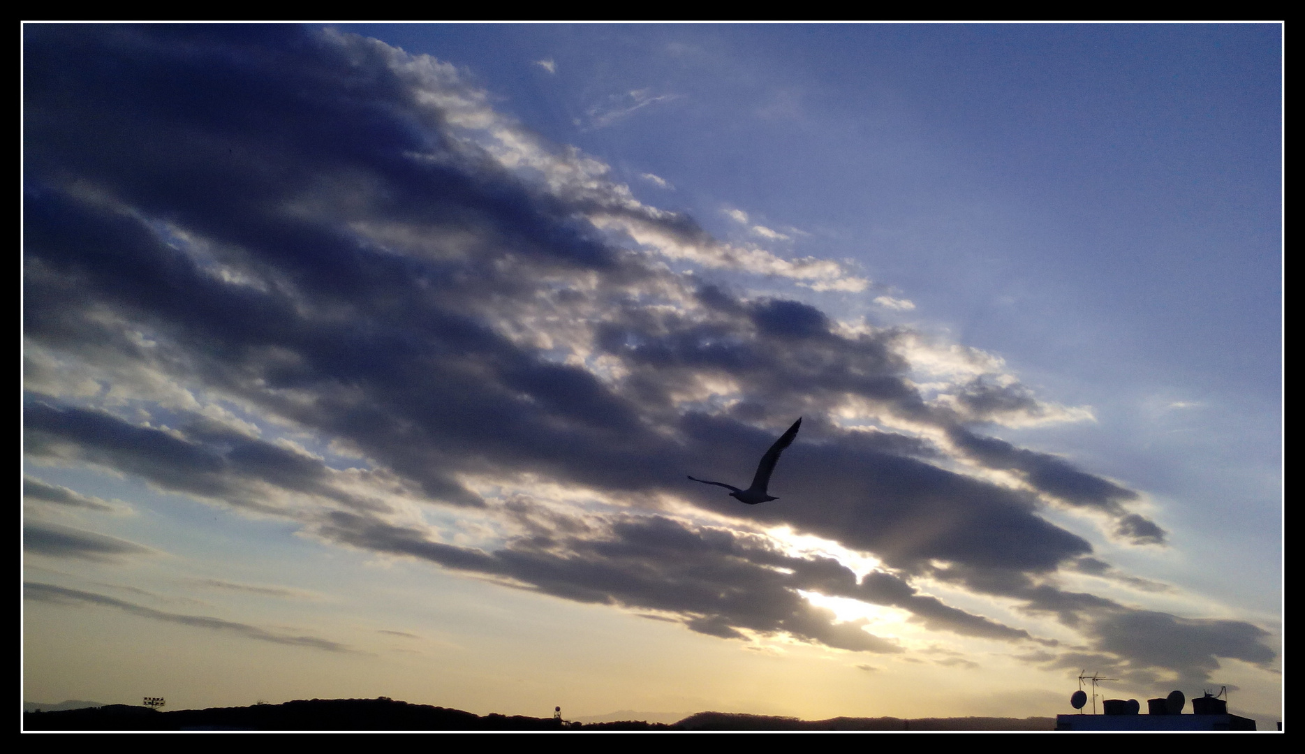 Nubes y gaviota