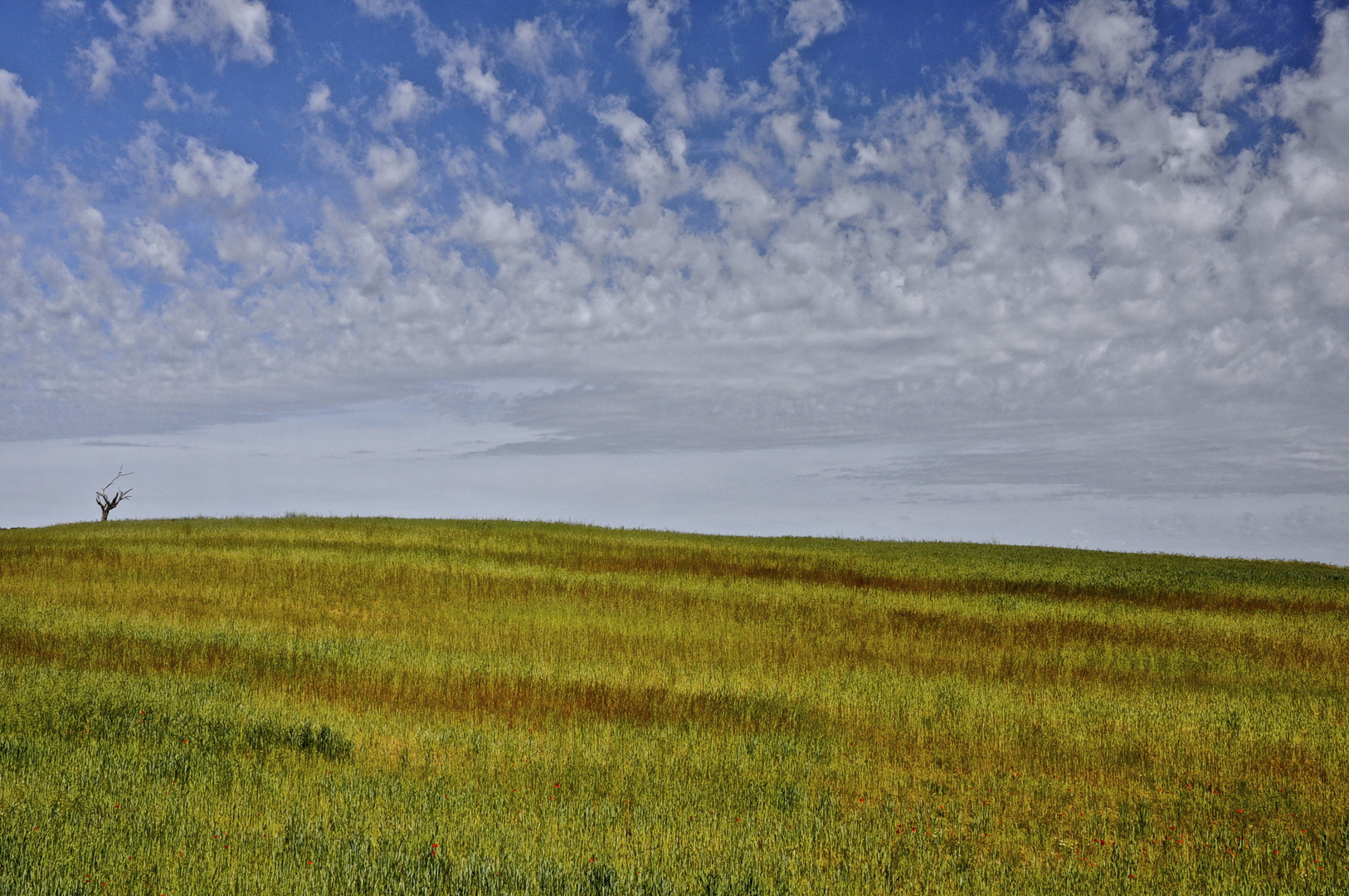 NUBES Y VERDES ZAMORANOS