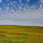 NUBES Y VERDES ZAMORANOS