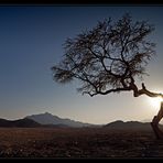 *Nubian Desert*