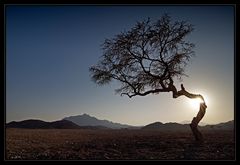 *Nubian Desert*