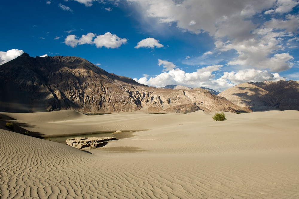 Nubra Dunes