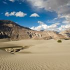 Nubra Dunes