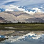 Nubra-Tal / Himalaja Region