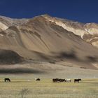 nubra valley