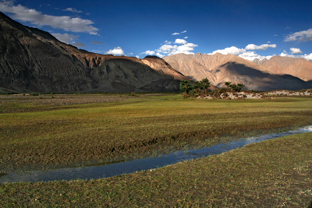 Nubra Valley